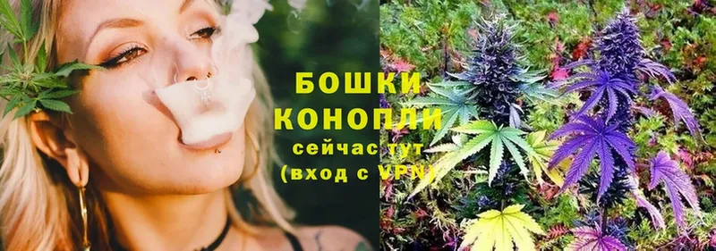 Марихуана сатива  Белокуриха 